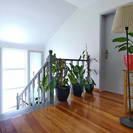 Pensjonat Casa Da Flor Ribeira Grande