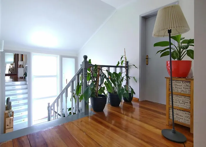 Guest house Casa Da Flor Ribeira Grande